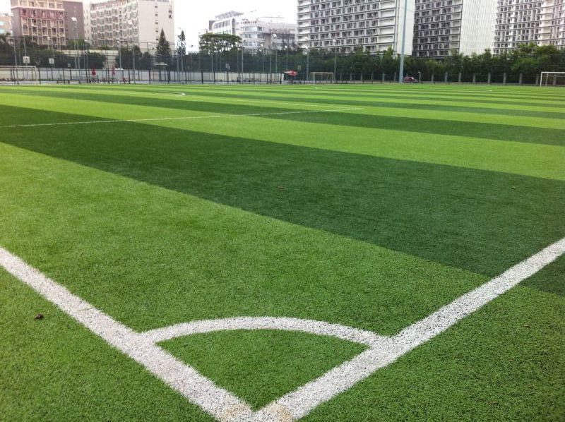 广东深圳大学足球场（2011大运会场地）